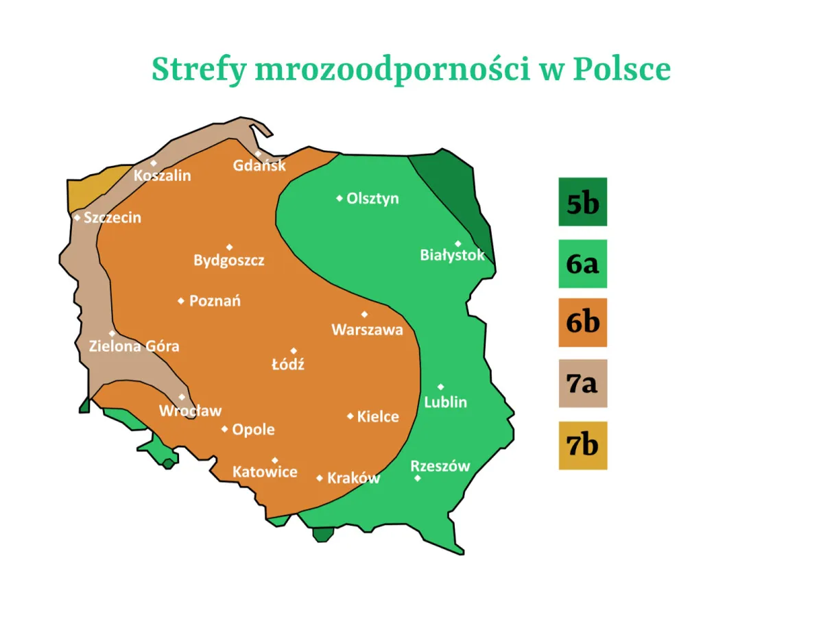 Strefy mrozoodporności w Polsce