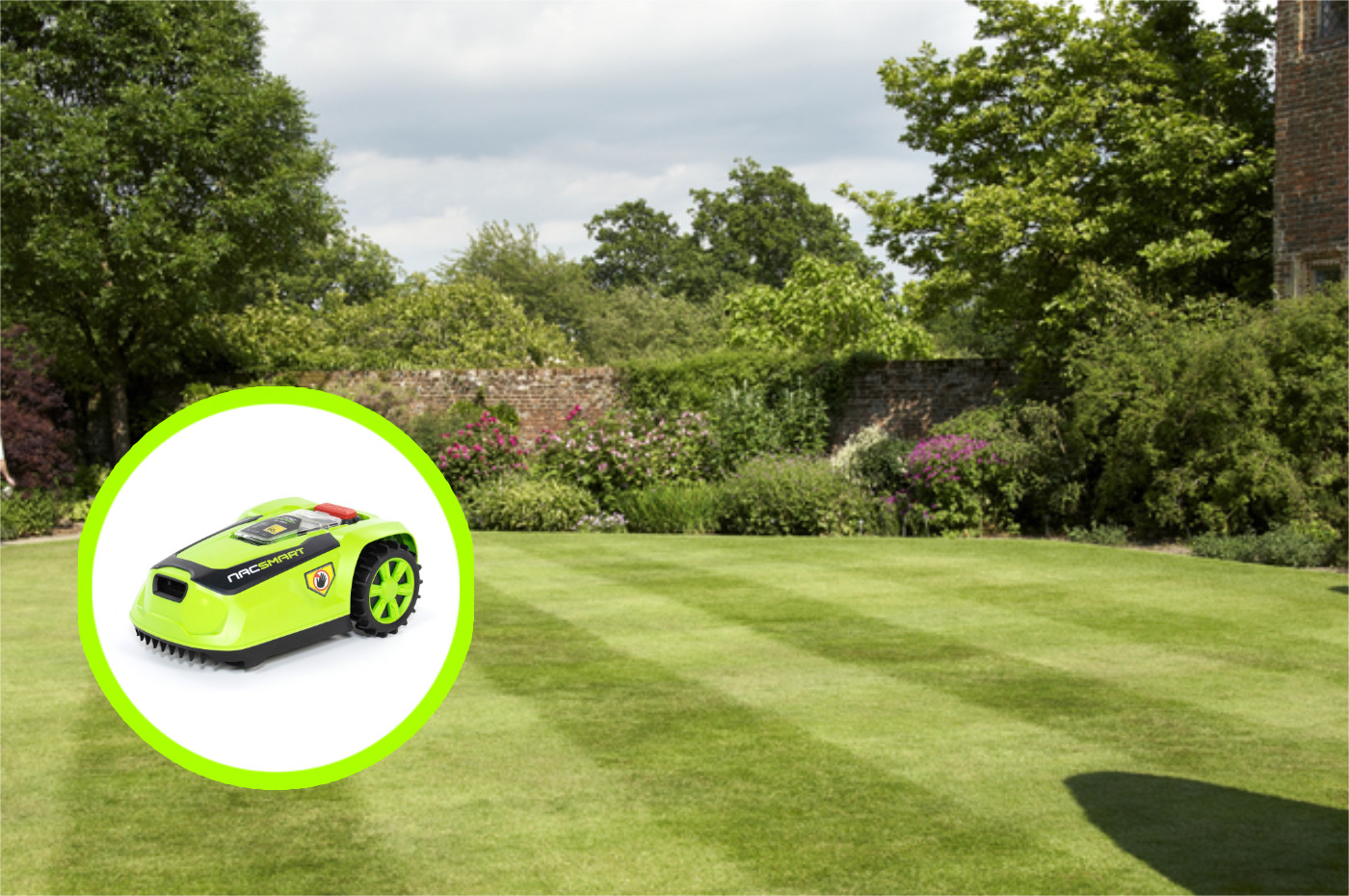 Koniec z koszeniem trawy w upale! Biedronka rzuciła robota koszącego za pół darmo. Taki sprzęt normalnie kosztuje fortunę!